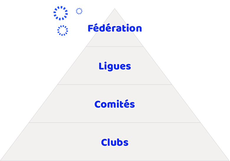 rôle des fédérations sportives